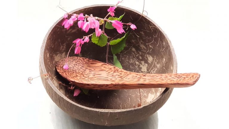 Tìm về thiên nhiên với vật dụng trong nhà