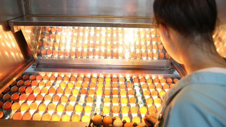 Xuất hiện trứng gà ăn liền có tẩm ướp gia vị