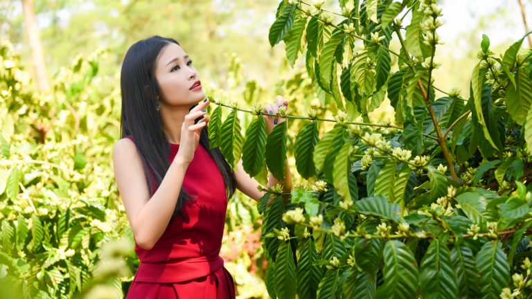Bế mạc Lễ hội cà phê Buôn Ma Thuột lần thứ 7 năm 2019: Hội tụ tinh hoa văn hóa Việt với hàng loạt sao Việt