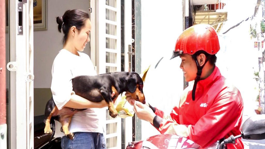 Dịch vụ mua và ship đồ ăn miễn phí cho thú cưng trong 1 giờ