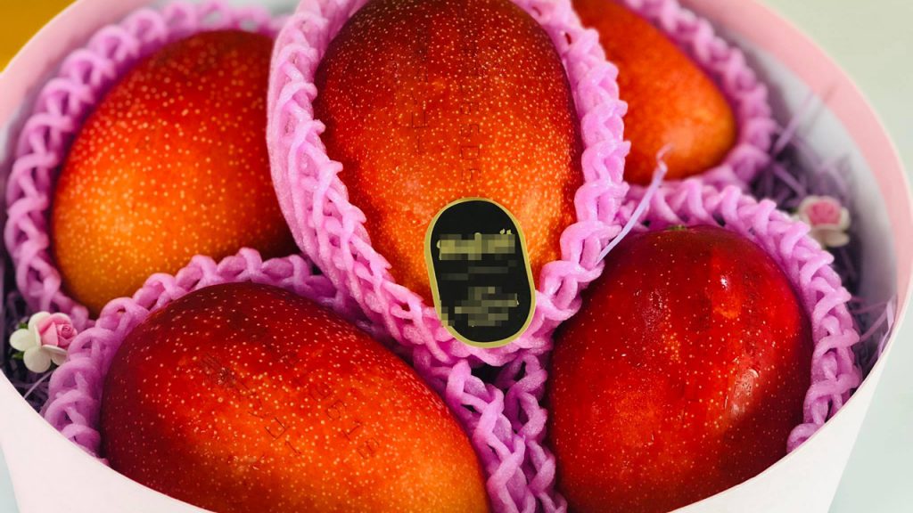 Vì sao xoài Red Ruby Nhật Bản có giá 1,3 triệu đồng/trái?