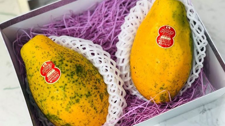 Đu đủ Nhật cả triệu đồng một trái, vì sao người tiêu dùng Việt vẫn mua?