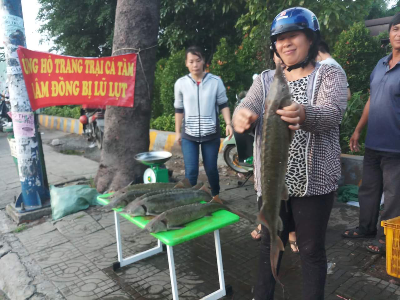 Cá tầm đổ bán lề đường, người Sài Gòn bất ngờ với giá 100 ngàn đồng/kg 4