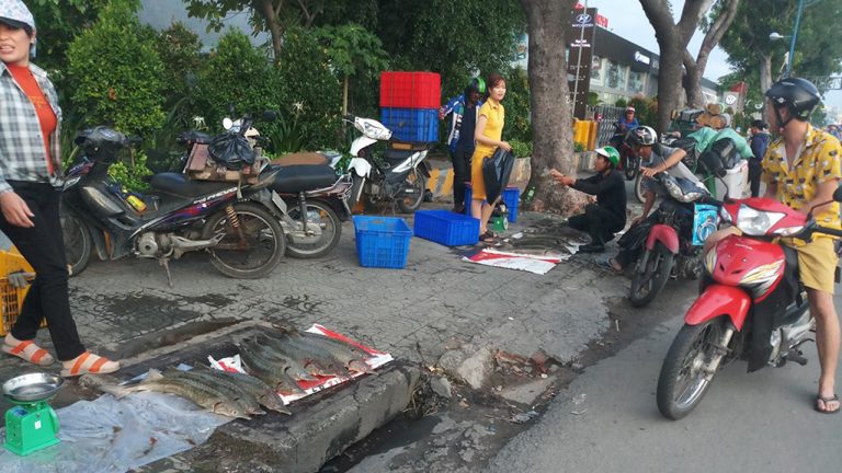 Cá tầm đổ bán lề đường, người Sài Gòn bất ngờ với giá 100 ngàn đồng/kg