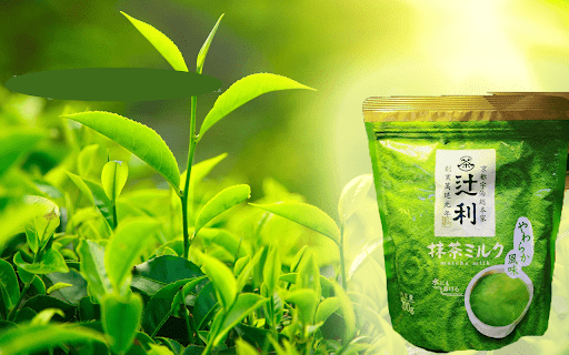 Bột trà xanh Matcha là gì? 1