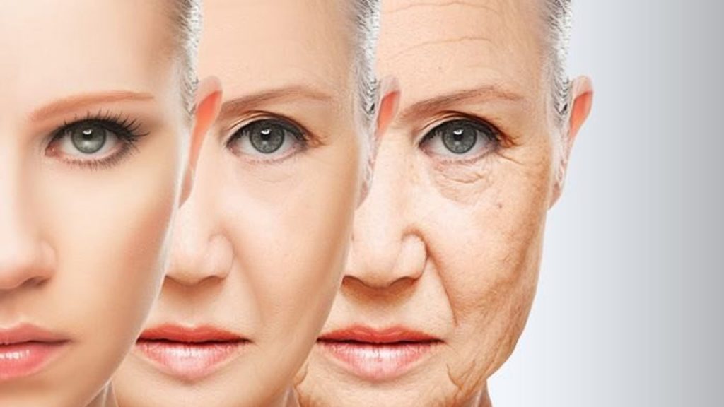 Collagen bôi mặt Nhật Bản có mấy loại?