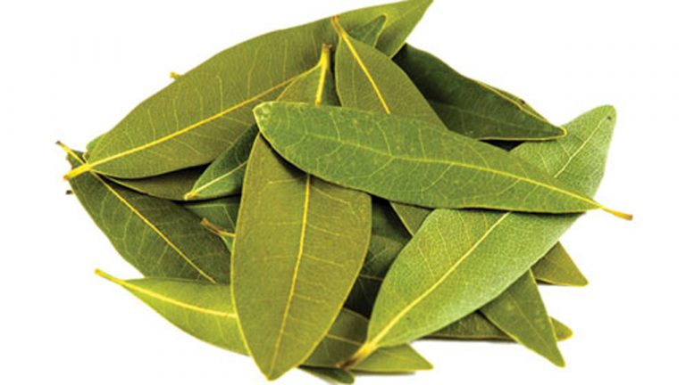 Lá bayleaf là gì?