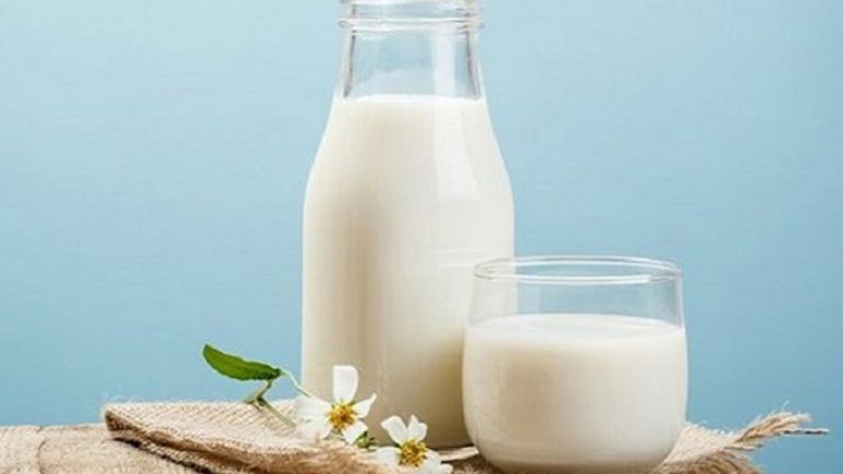 Tổng hợp những loại sữa tươi dành cho trẻ từ 1 tuổi