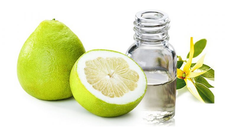 Mẹo nhận biết tinh dầu bưởi nguyên chất