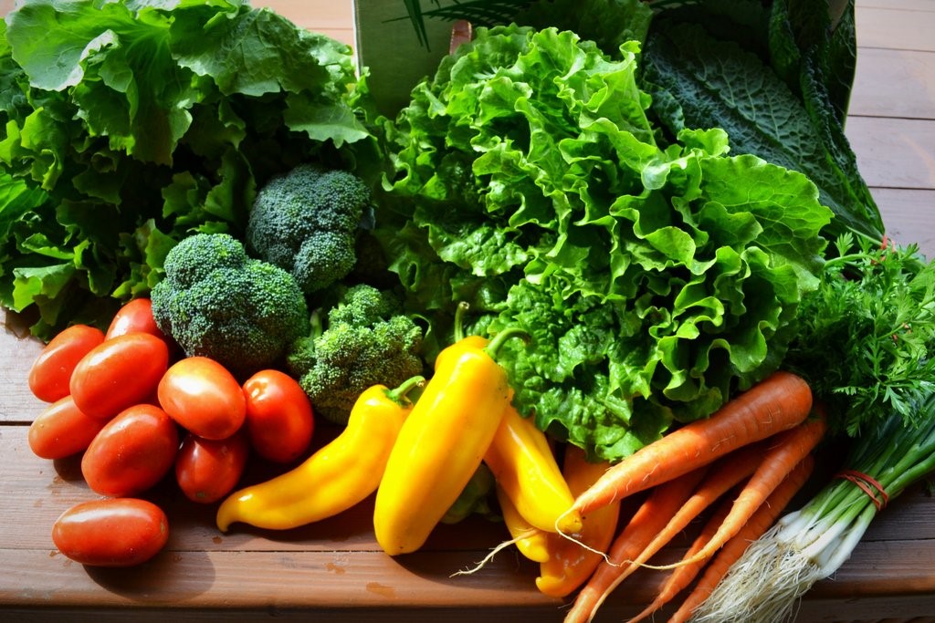 Rau Organic là gì? 3