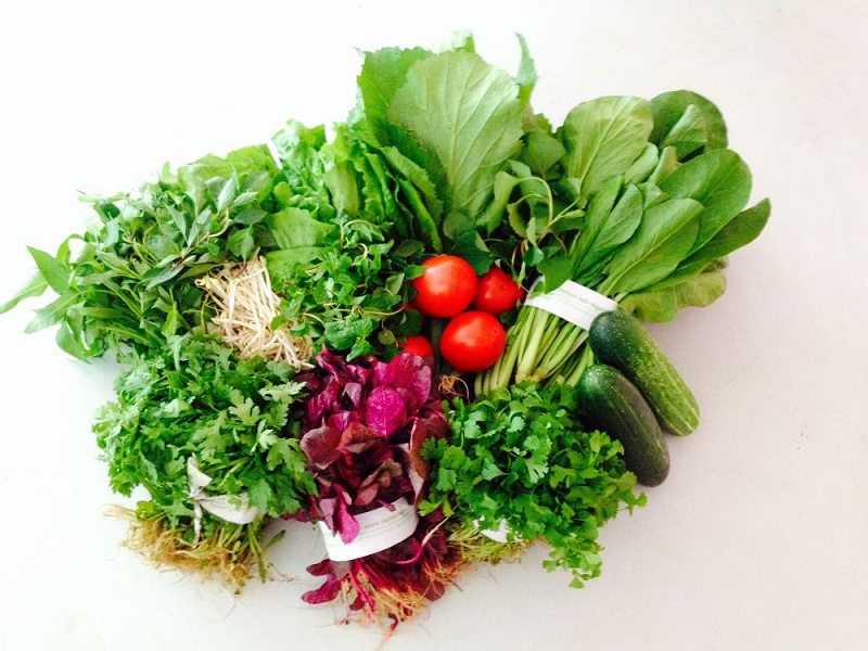 Rau Organic là gì? 1