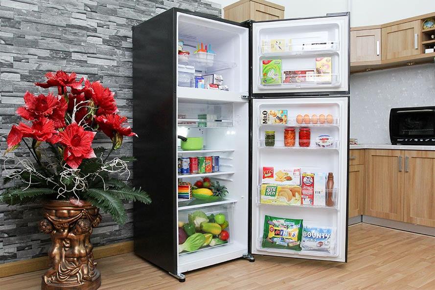 Top 6 tủ lạnh dung tích lớn giá từ 8 triệu đồng 4