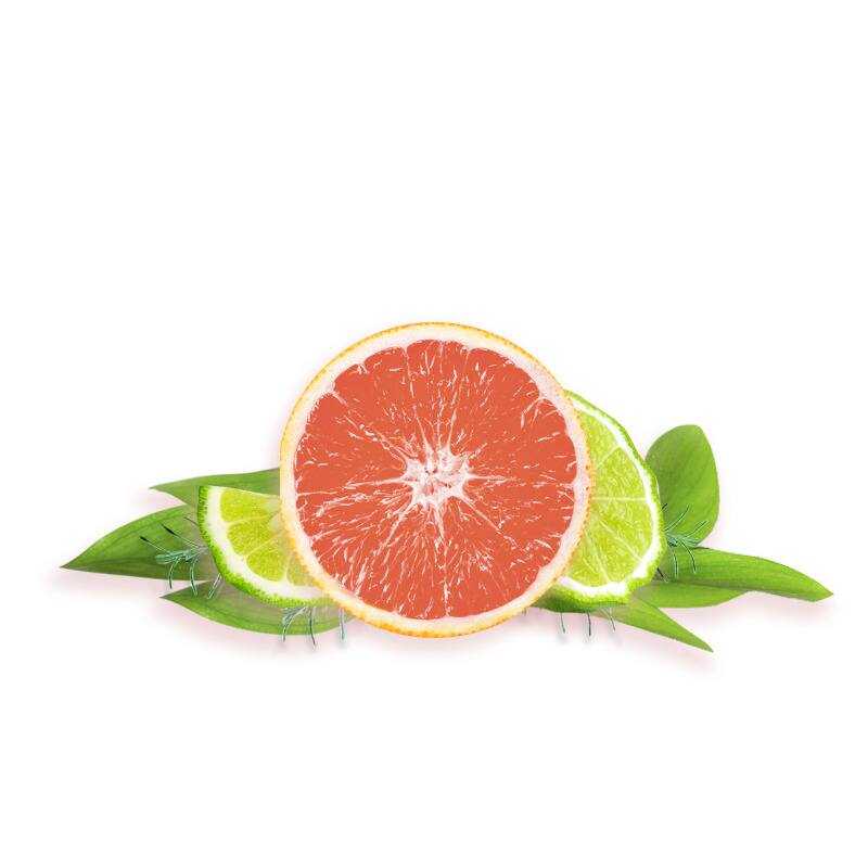 Cách diệt muỗi - Những điều cần biết 5