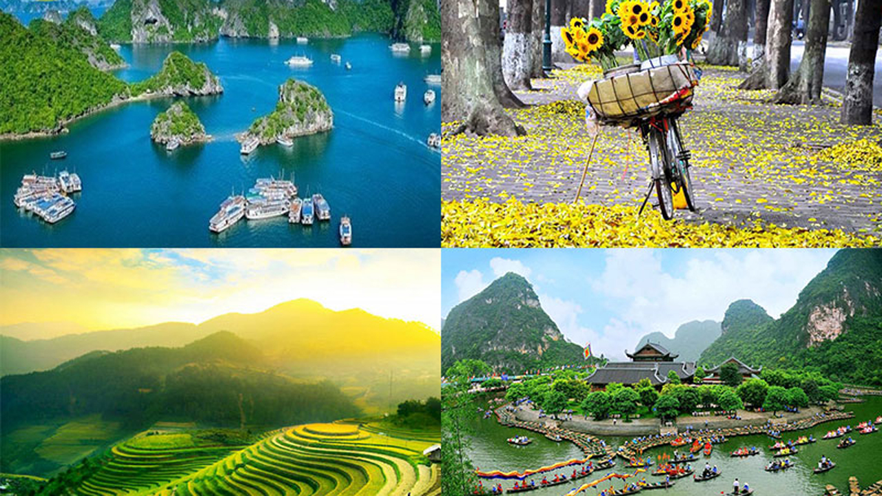 Tour du lịch Tết giảm nửa giá vẫn không đủ sức hút 10