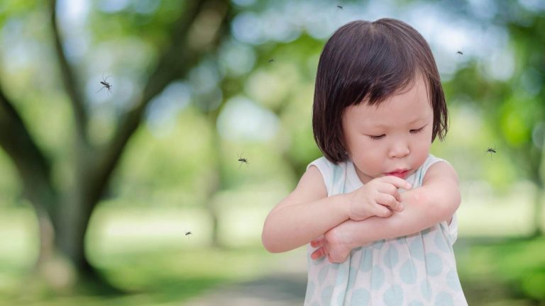 Thuốc diệt muỗi sinh học là gì? Có tốt không?