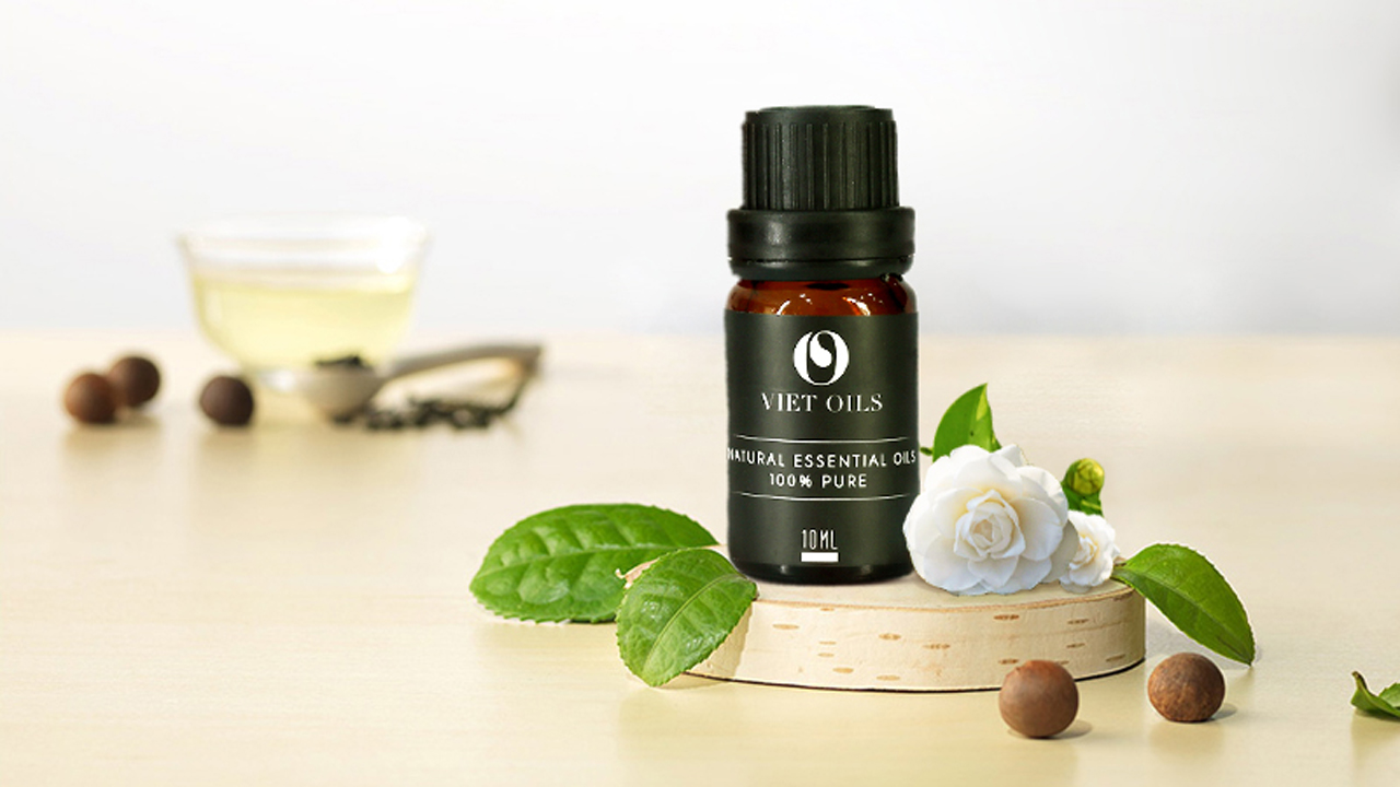 Tinh dầu trà trắng là gì? Mua tinh dầu trà trắng ở đâu? 3