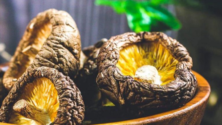 Cách chọn nấm hương khô chuẩn