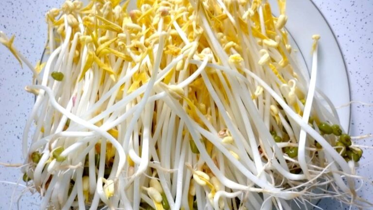 Mẹo bảo quản giá không bị thâm đen, nát úng