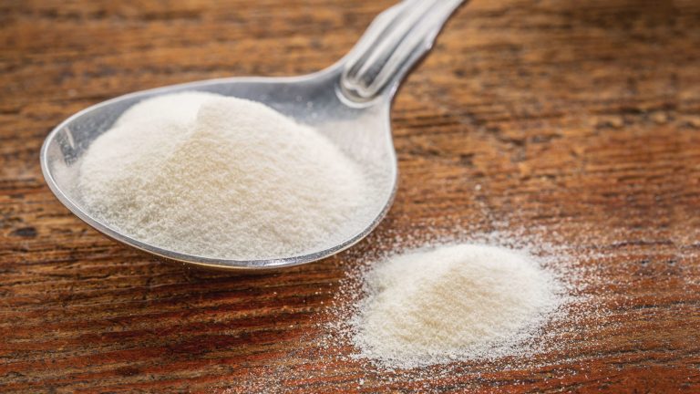 Gelatin là gì? Vai trò của Gelatin trong đời sống