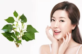 5 công thức làm đẹp từ loại rau có mùi đặc biệt, giúp cấp ẩm sâu và làm da mịn màng hơn