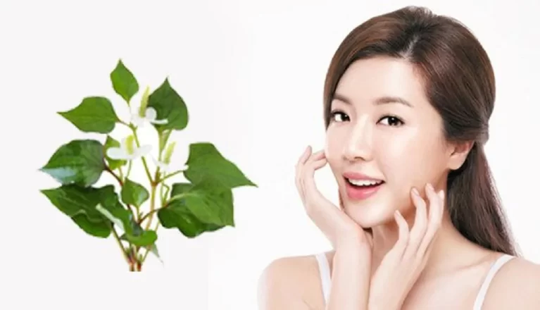 5 công thức làm đẹp từ loại rau có mùi đặc biệt, giúp cấp ẩm sâu và làm da mịn màng hơn