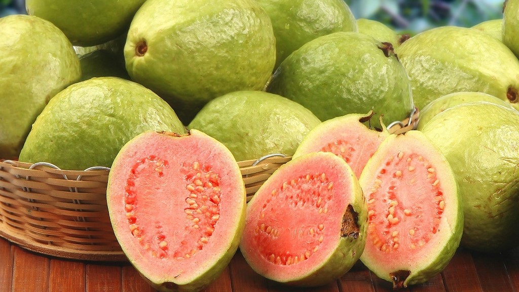 Những điều cần biết về ổi và các đối tượng nên hạn chế ăn 1