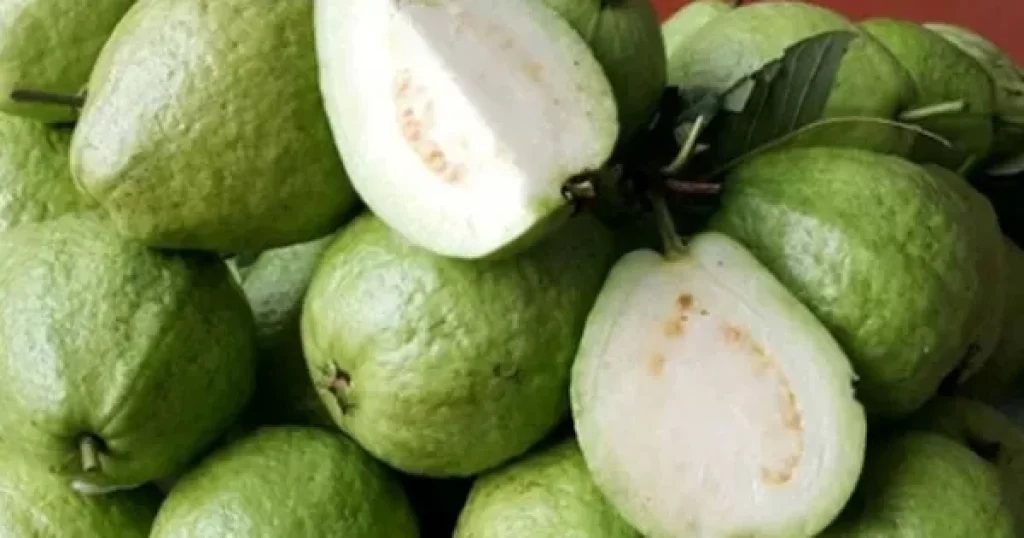 Những điều cần biết về ổi và các đối tượng nên hạn chế ăn