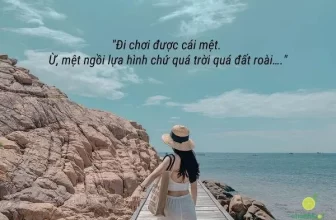 Những status hay, ngắn gọn khi đăng ảnh đi chơi, ảnh đại diện… nhận triệu like