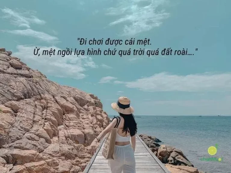 Những status hay, ngắn gọn khi đăng ảnh đi chơi, ảnh đại diện… nhận triệu like