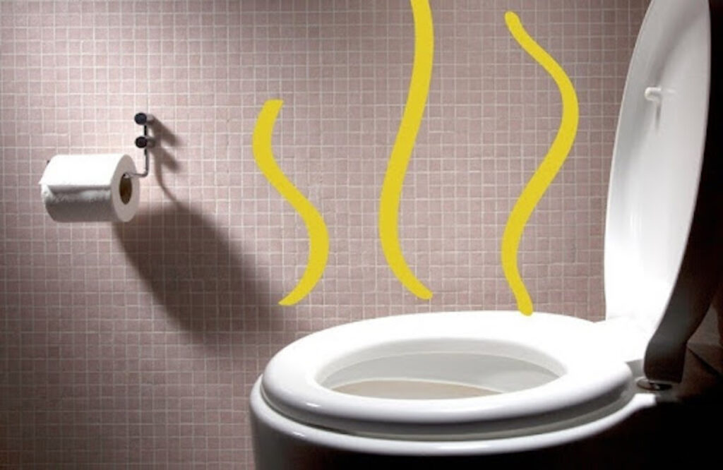 Các cách xử lý bồn cầu bị nghẹt nhanh chóng và hiệu quả 1