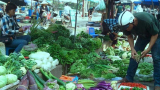 Giá rau xanh tăng mạnh
